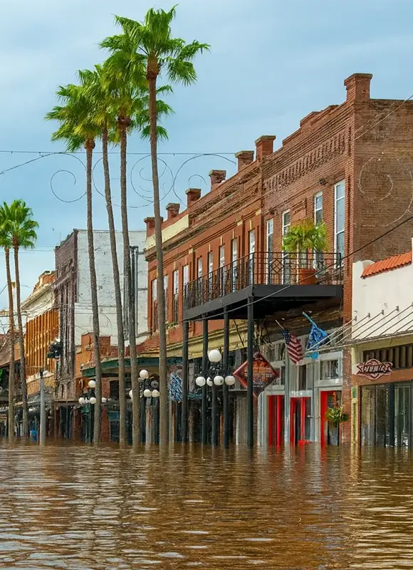 Flooded street in historic district with palm trees.
