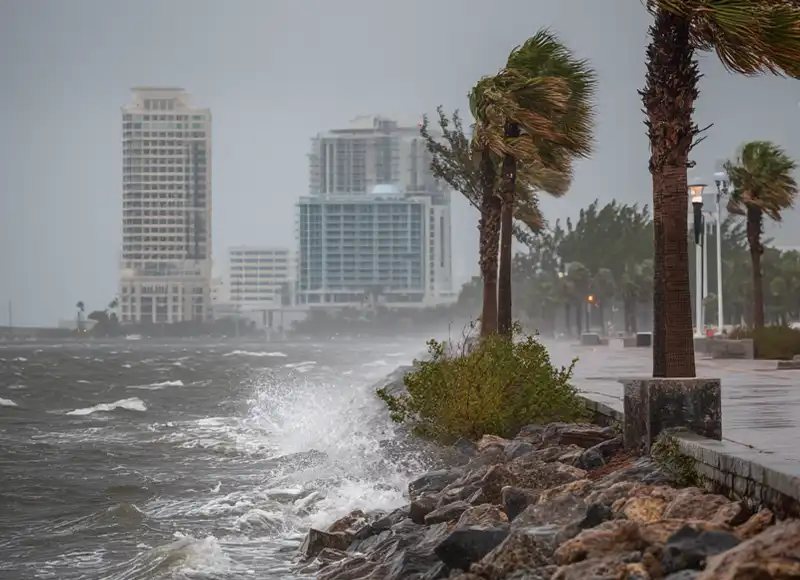 Hurricane winds and waves battering Florida waterfront seawall with bending palms