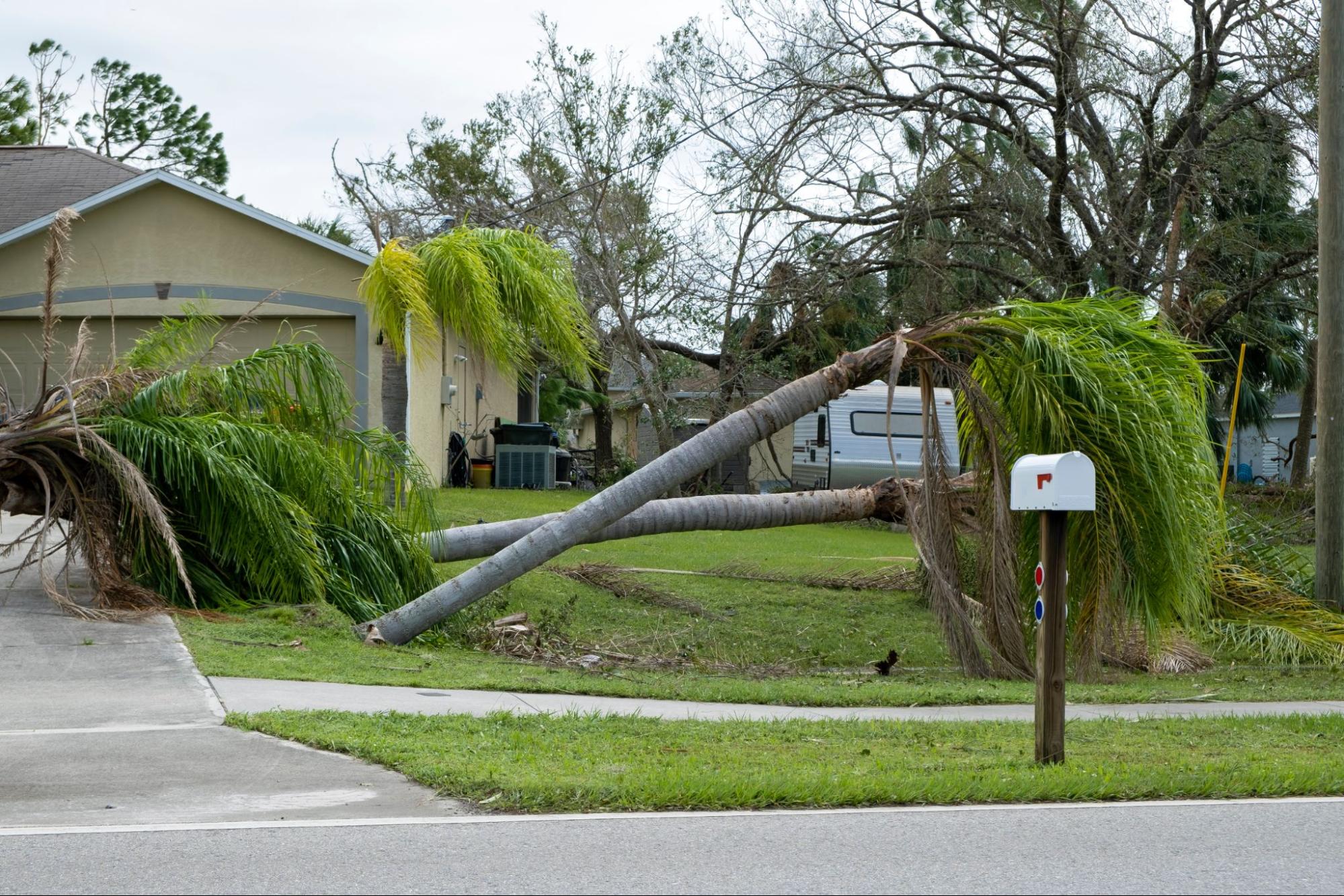 Fallen trees and storm damage after Hurricane Ian showing why old claim deadlines matter