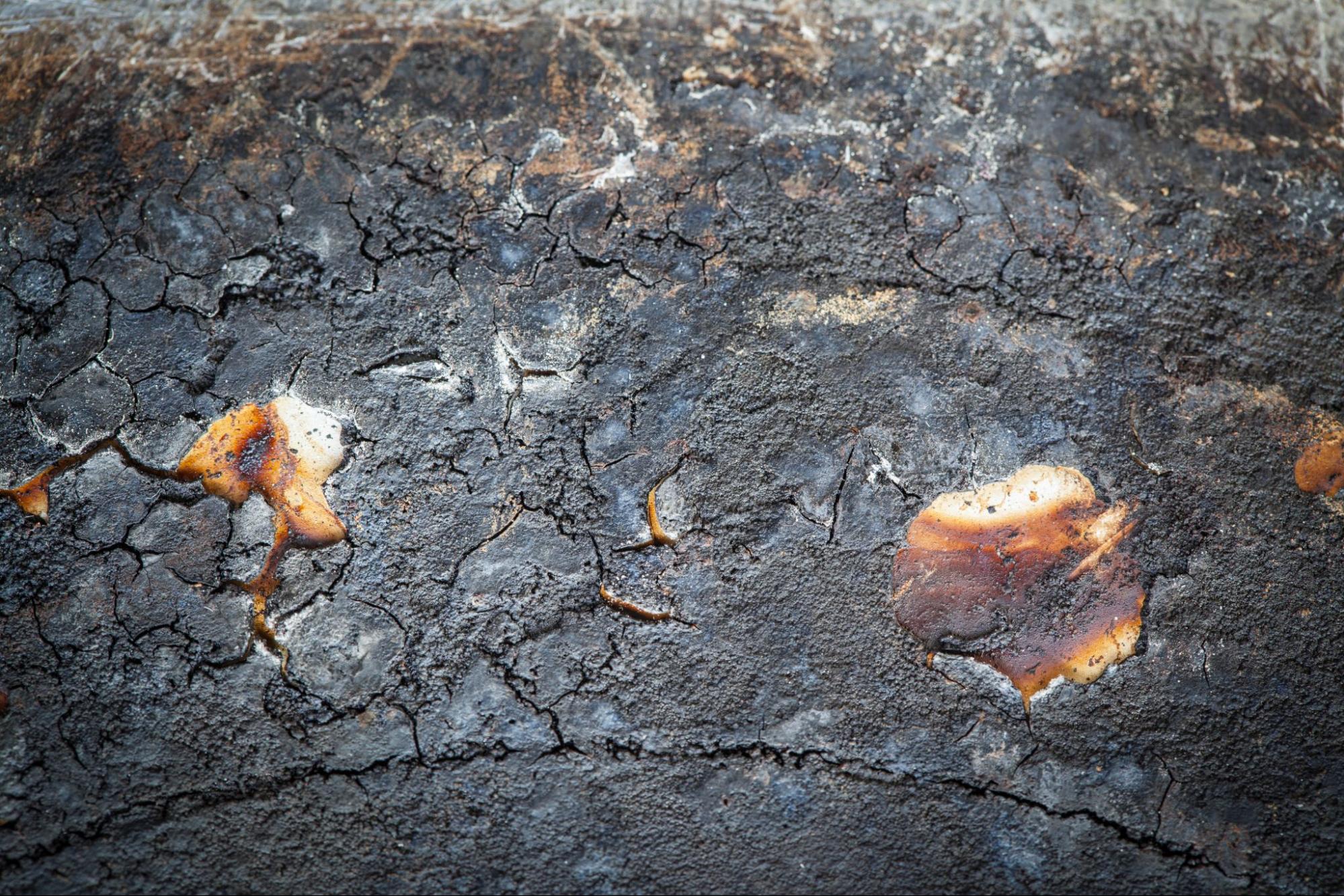 Large sinkhole crack in damaged ground for a Florida sinkhole insurance claim
